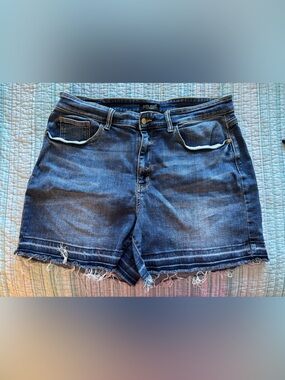 Judy Blue Blue Denim Jeans with Branded Button